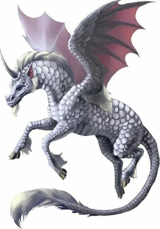 Костюм для лошади дракон. Лунма лошадь дракон. Dragon horse. Лошадь дракон арт. Дракон и единорог.