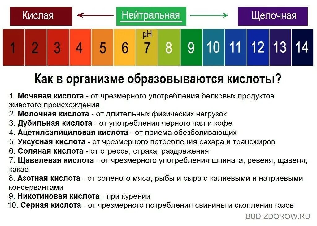 Водородный показатель норма. РН крови кислая или щелочная. Щелочная среда PH В организме человека. Показатели PH кислой и щелочной среды. Кислотно-щелочной баланс организма (PH).