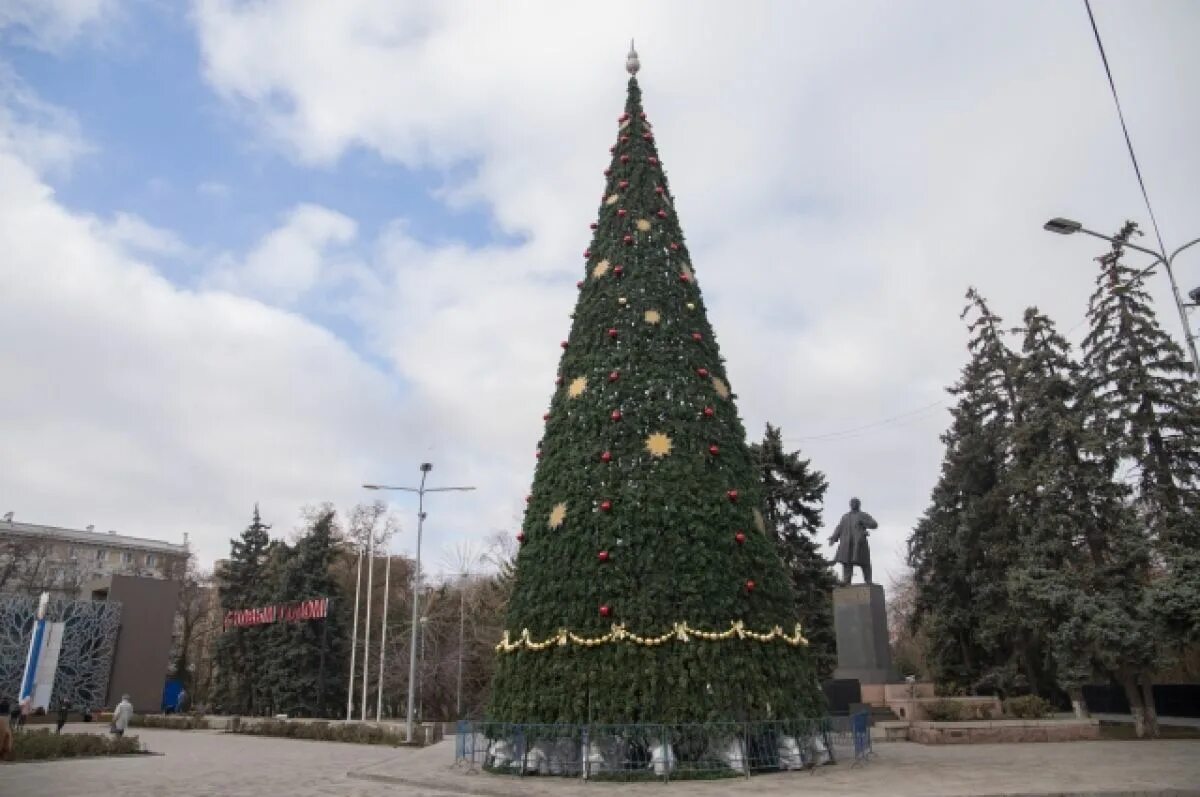 Центральная городская елка в ростове на дону видео. Центральная ёлка ростова. Елки дон в ростове на дону. Елка ростов на дону елка. Главная елка в ростове на дону 2023.