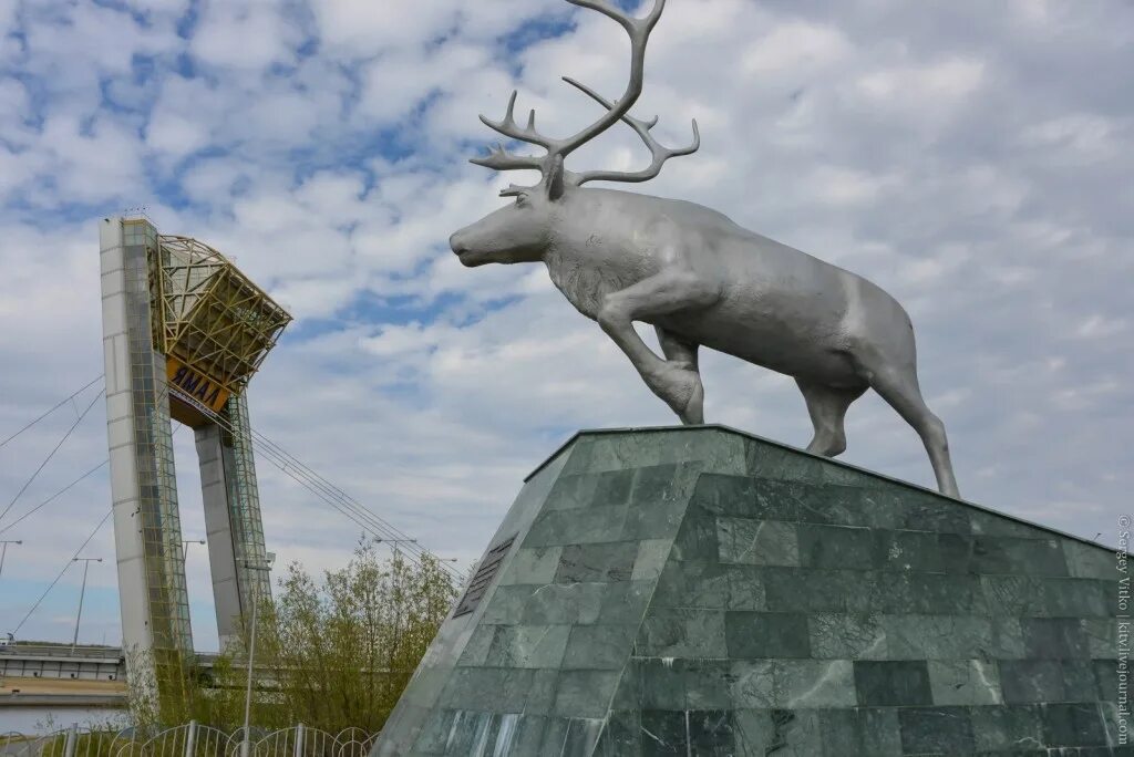 Памятник Северному оленю Салехард. Сайт г салехард