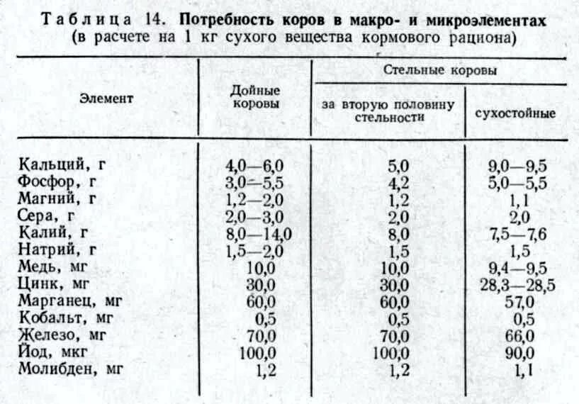 Сколько давать корове сена. Нормы рациона для дойной коровы. Рацион для дойных коров. Рацион дойных коров таблица. Рацион кормления стельных коров.