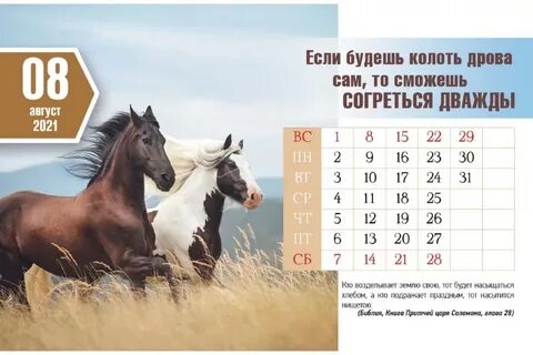 Весь 2021 год
