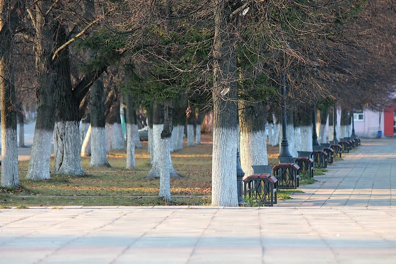 В контакте подслушано в гусе. Подслушано в Гусь-Хрустальном. Климат Гусь Хрустальный. Город Гусь-Хрустальный подслушано. Гусь Хрустальный осень.