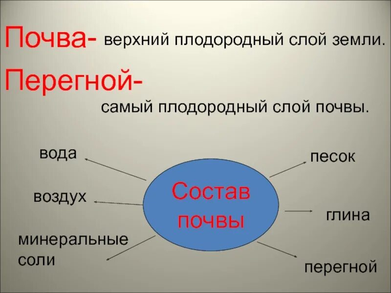 Конспект 3.3. Состав почвы. Почва состав почвы. Состав почвы схема. Почва задания.