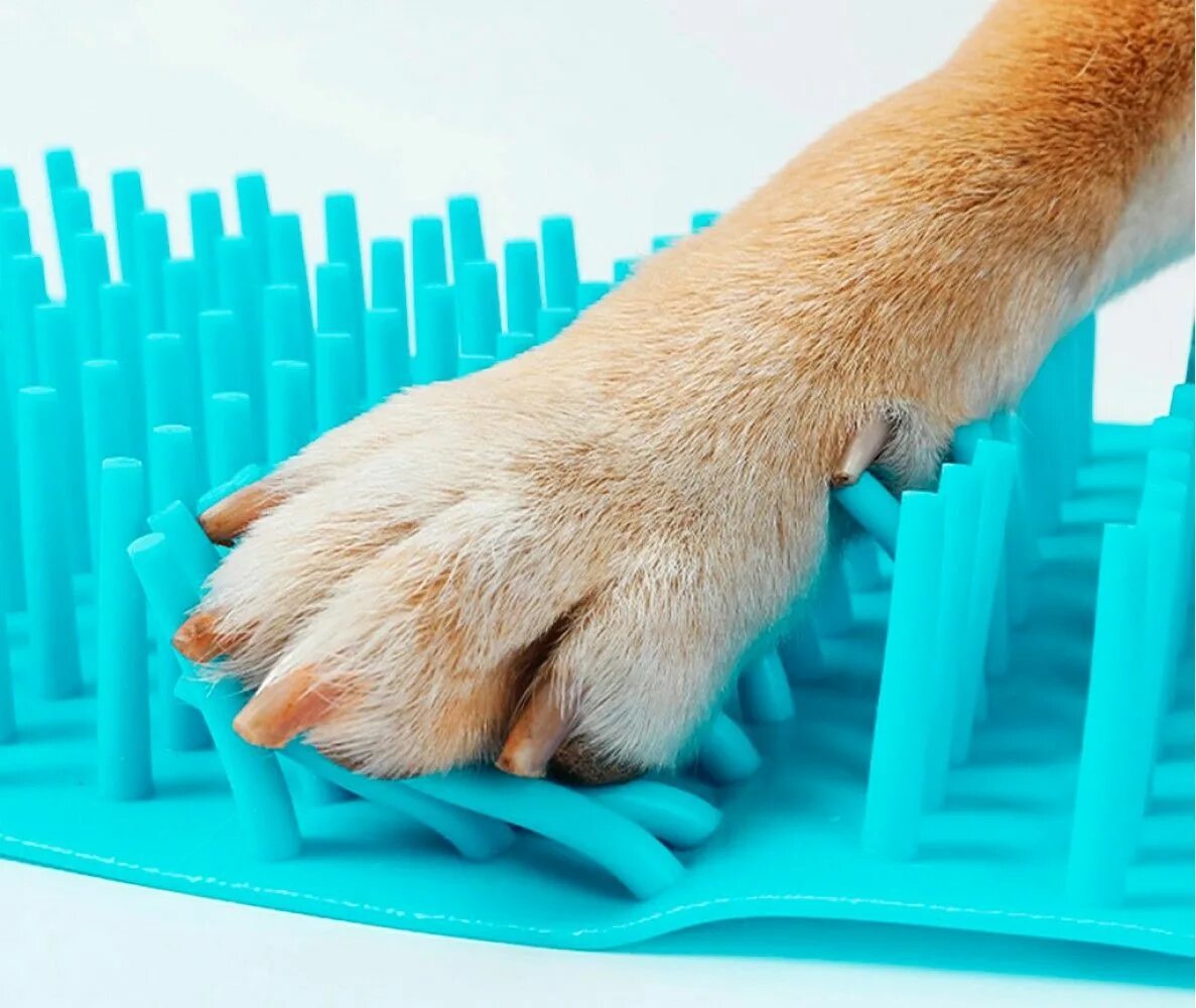 Приспособление для мытья лап. Лапомойка для собак. лапомойка для собак &quot;pet animal wash foot cup&quot;. лапомойка для собак голубая. tv-555 лапомойка для собак &quot;pet animal wash foot cup&quot;.