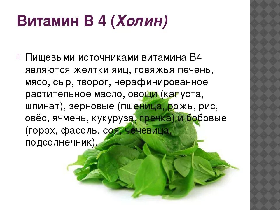 Витамин в4 продукты. Холин - витамин в4 и витамин в. Функции витамина b4. Витамин b4 Холин в продуктах. Витамин в4 Холин.