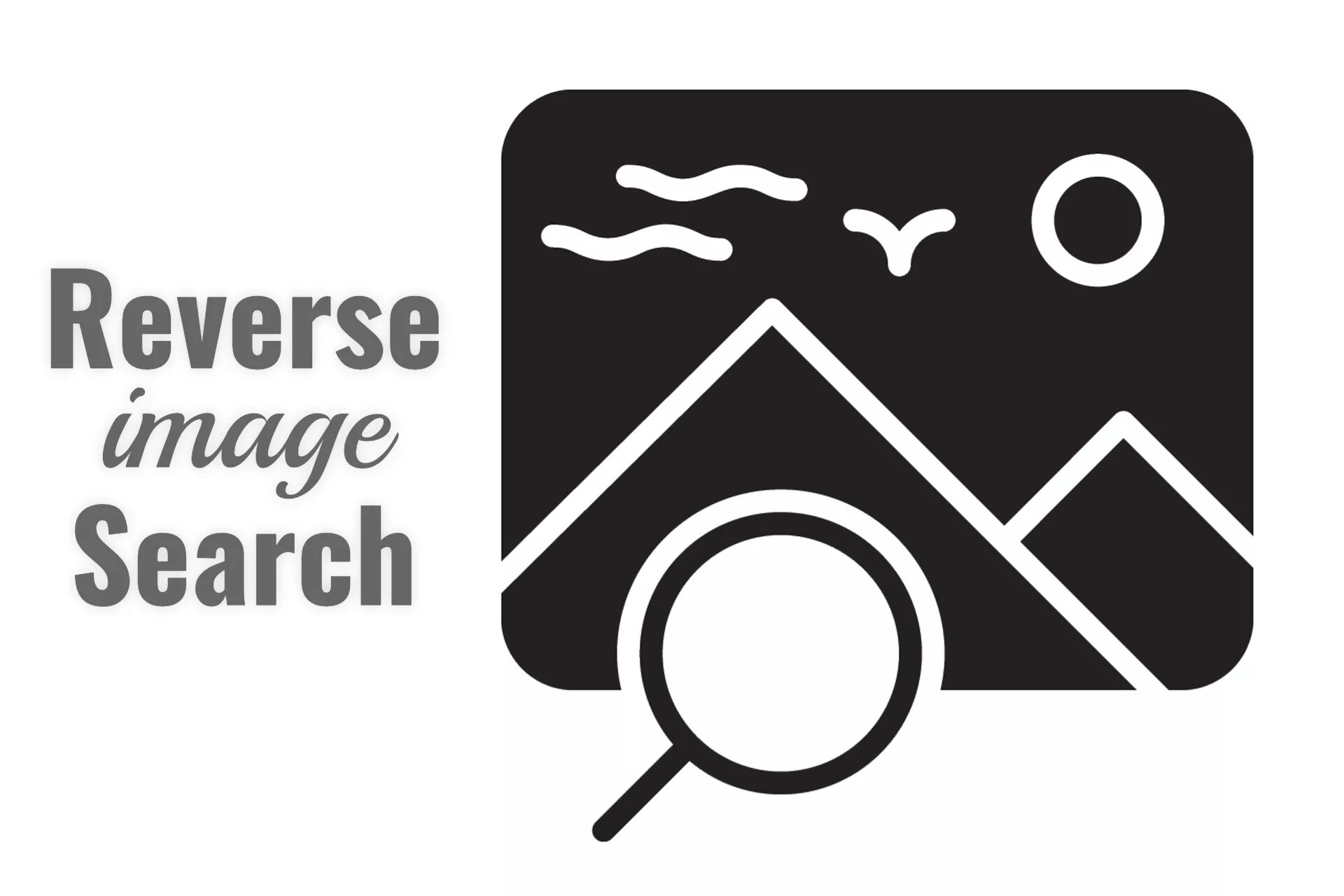 Big image search. Reverse image search. reverse image searching. reverse image search engine.