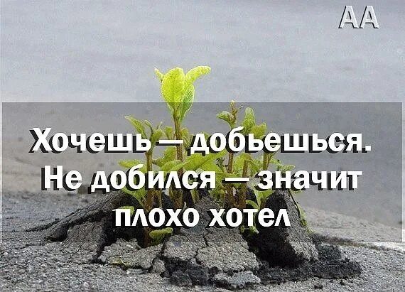 Все зависит от нас цитаты. Я кот а чего добился ты. Ничего не добился зато сам. Я добьюсь успеха. Добиться цели цитаты.