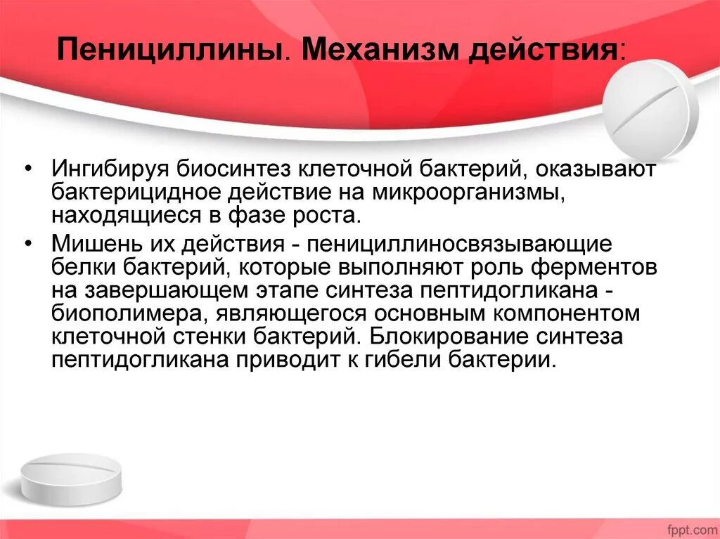 Пенициллины действуют. Механизм антимикробного действия пенициллина. Механизм действия пенициллинов. Пенициллины механизм действия. Механизм действия пениц.