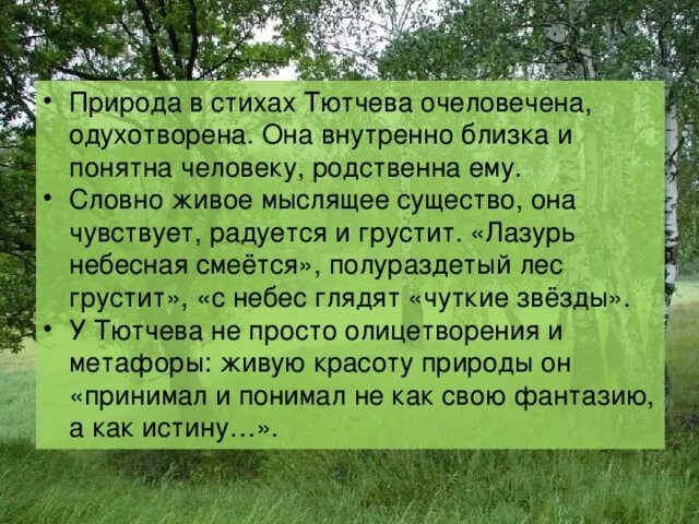 Тютчев родная природа. Природа в поэзии Тютчева. Стихотворение Тютчева о природе. Природа в тютчевских стихах. Человек и природа стихи.