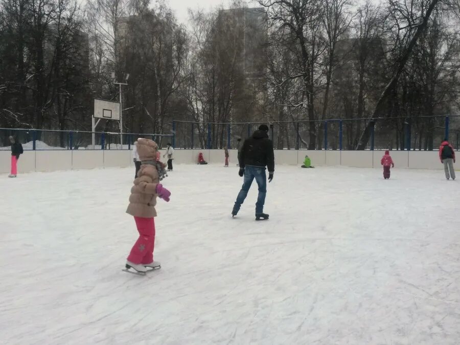 каток в дмитрове парк березовая роща. каток березовая роща новосибирск. каток в березовой роще. парк берёзовая роща новосибирск каток. парк березовая роща каток.