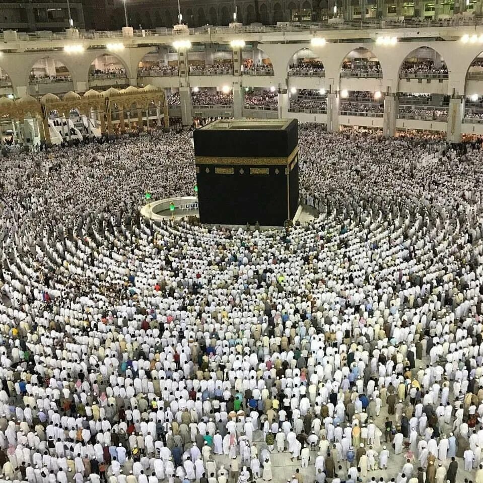 Коран в аль харам. Аль-харам в Мекке. Мечеть Аль-харам Мекка Саудовская Аравия. Коран Мекка. Имам мечети Аль харам в Мекке.