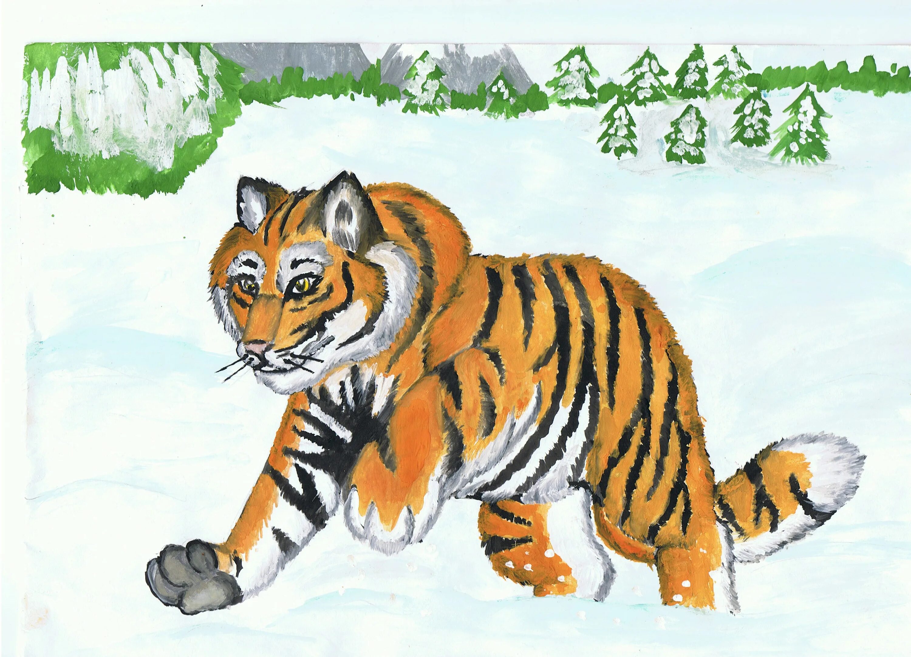 Амурский тигр для детей