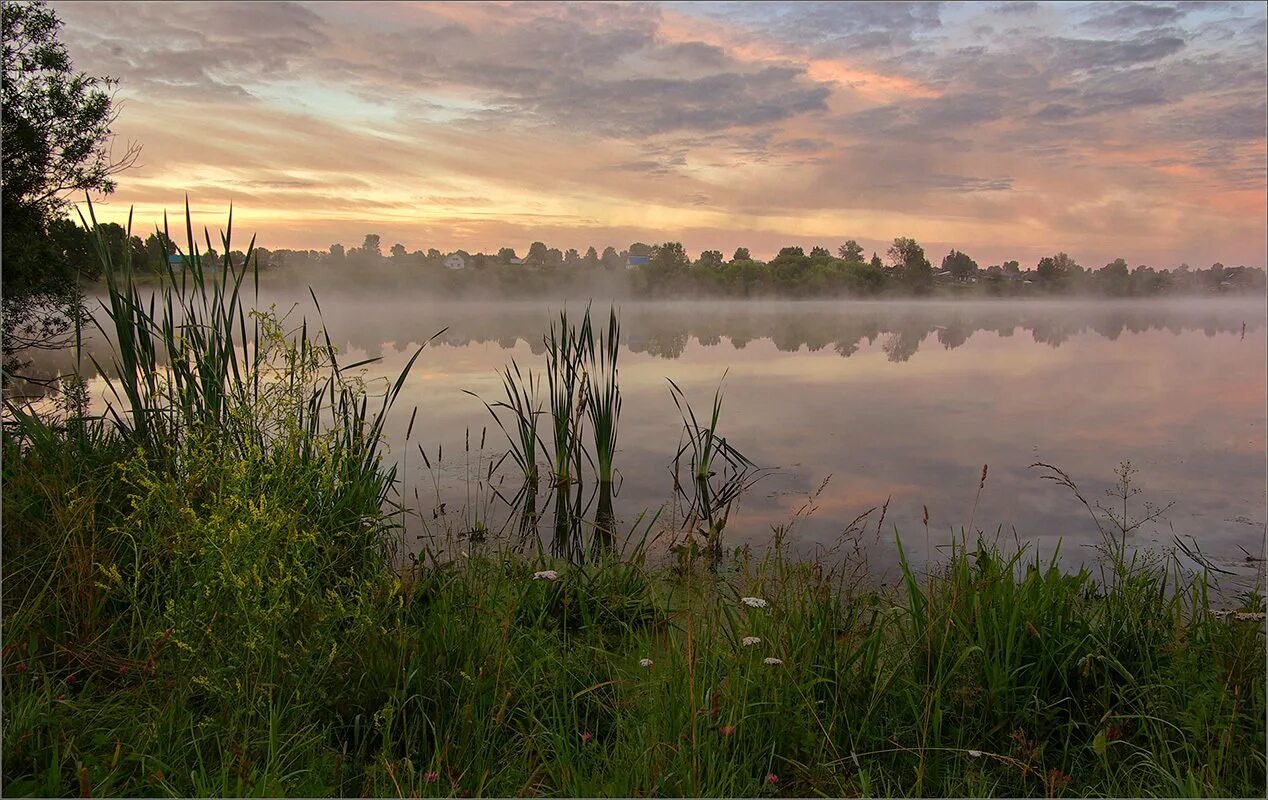 Рассвет на озере. Пруд утром. Пруд утром. Утренний пруд. Река с кувшинками.