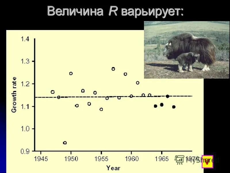 Экспоненциальный рост презентация 10 класс