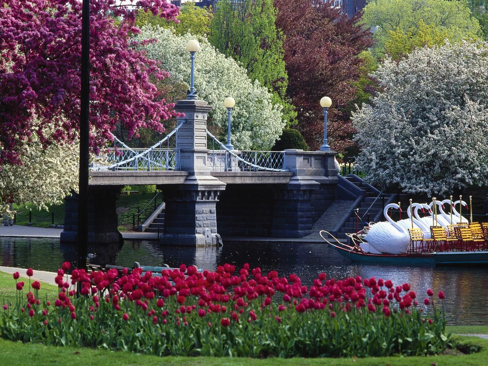 Бостон достопримечательности. Public garden. Бостон коммон парк. Бостон массачусетс сша парк. Public garden.