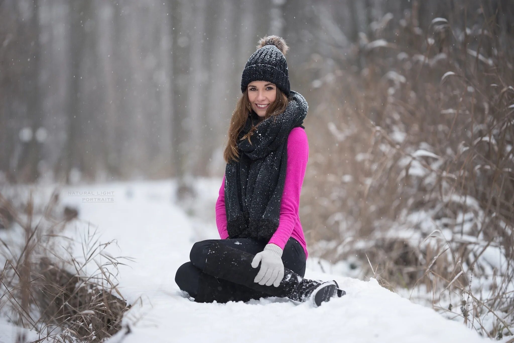 Snow model