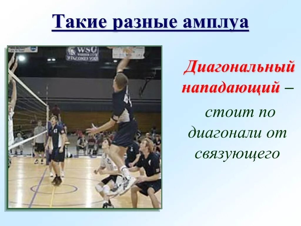 Диагональный нападающий