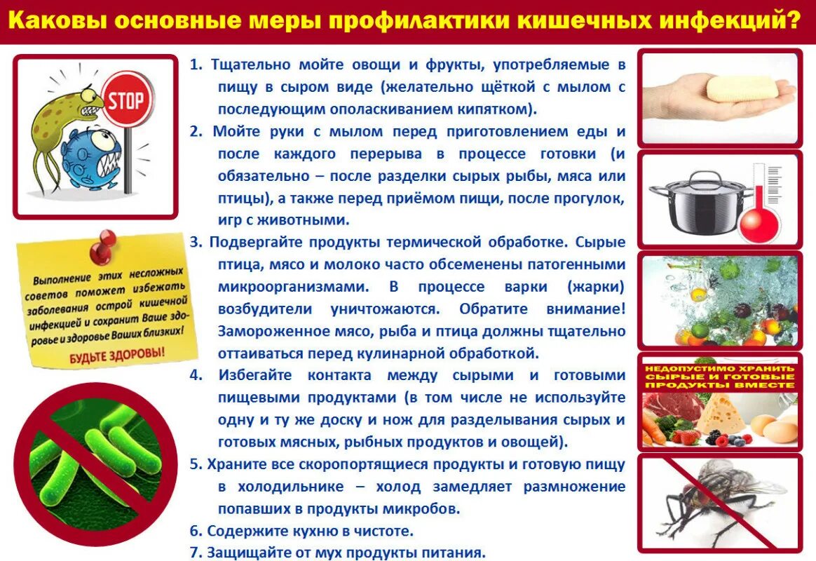 Как предотвратить пищевые отравления