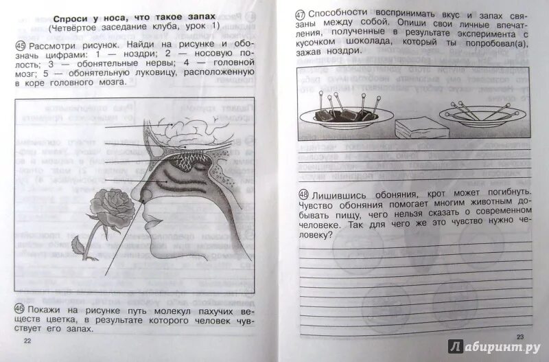 Тетрадь для самостоятельных работ. Окружающий мир Федотова. Тетрадь по окружающему миру для самостоятельных работ. Рабочая тетрадь по окружающему миру 4 класс 2 часть Федотова.