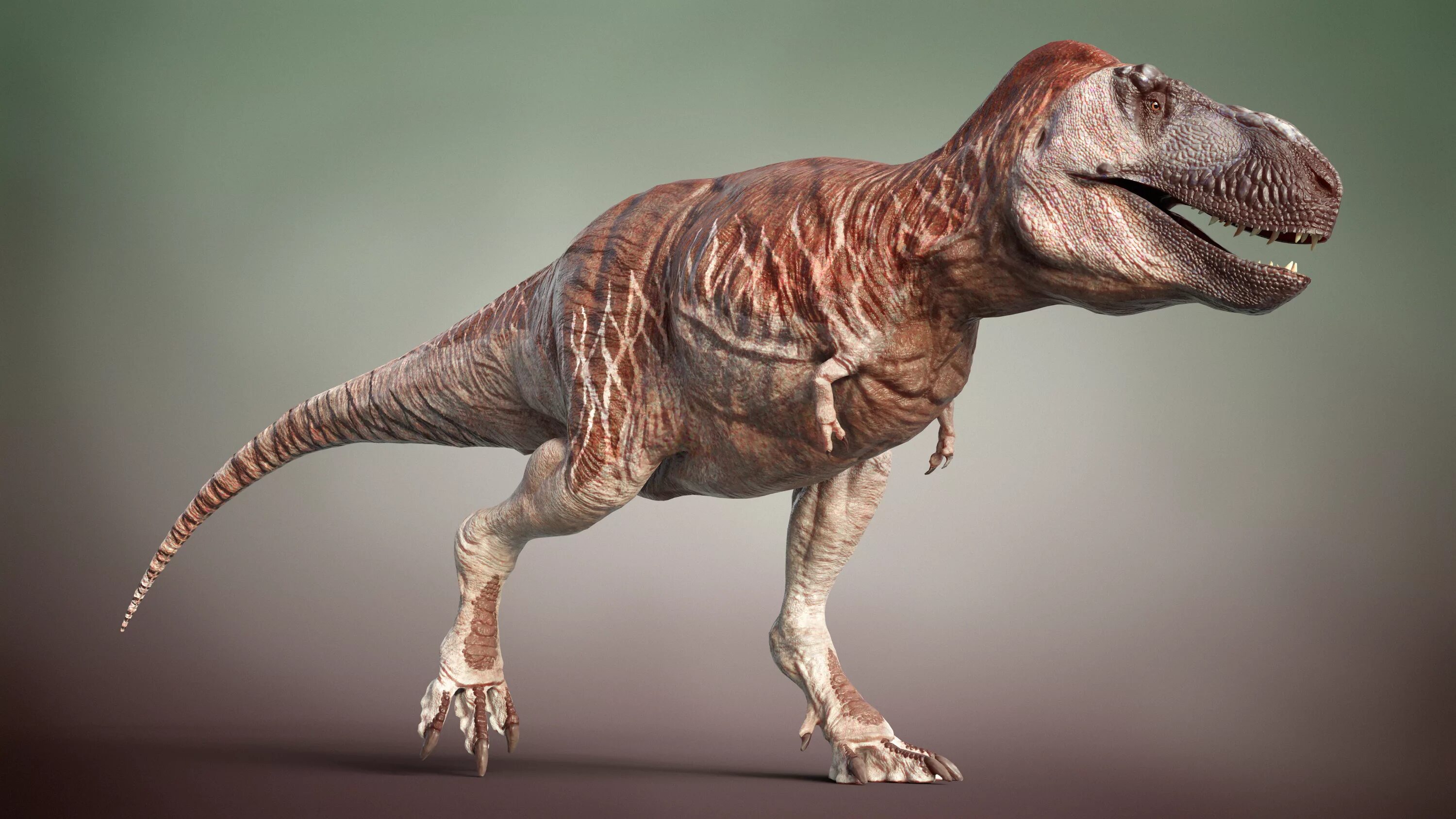 Тираннозавр рекс. Тираннозавр Эра. Тиранозавр рекс Тиранозавр рекс. Тираннозавр рекс 2022.