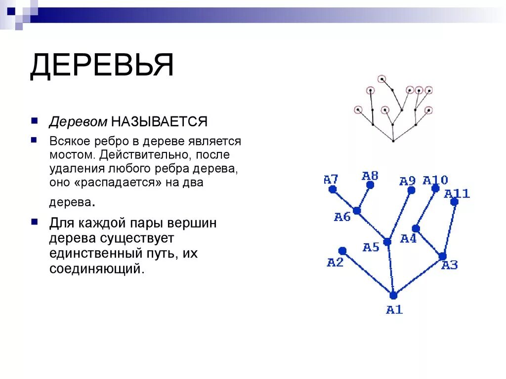 Диаметр дерева это количество ребер. Дерево (теория графов). Деревья и лес в теории графов. Понятие дерева в теории графов. Количество ребер в дереве.