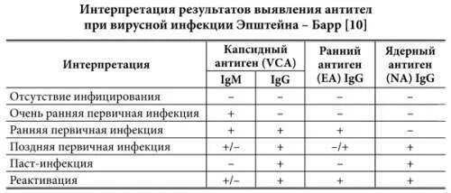 Антитела g к вирусу. Вирус эпштейна-барр иммуноглобулины таблица. эпштейн барр антитела таблица. антитела g к вирусу эпштейна-барр показатели. антитела в вирусу эпштейна-барр таблица.