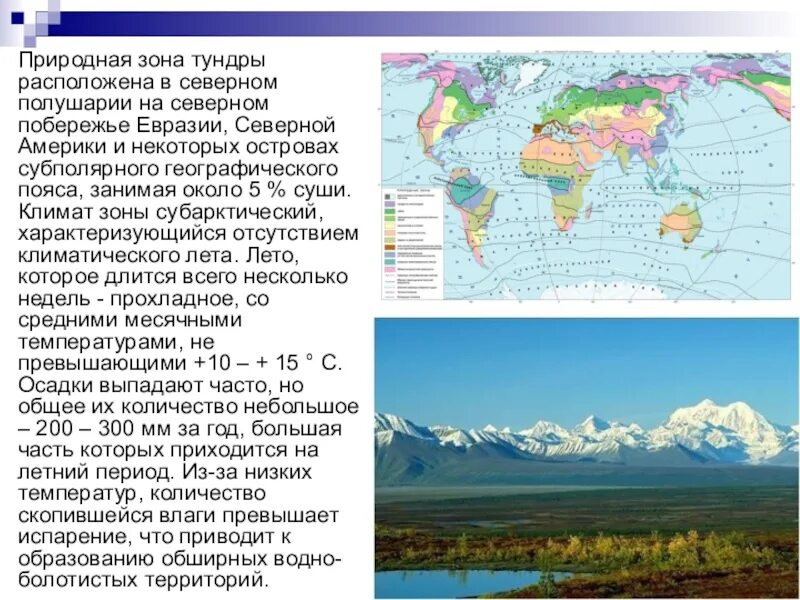 Тундра между природными зонами. Природные зоны Северного полушария. Карта природных зон Северного полушария. Природные зоны Северной Евразии. Расположение зоны тундры.