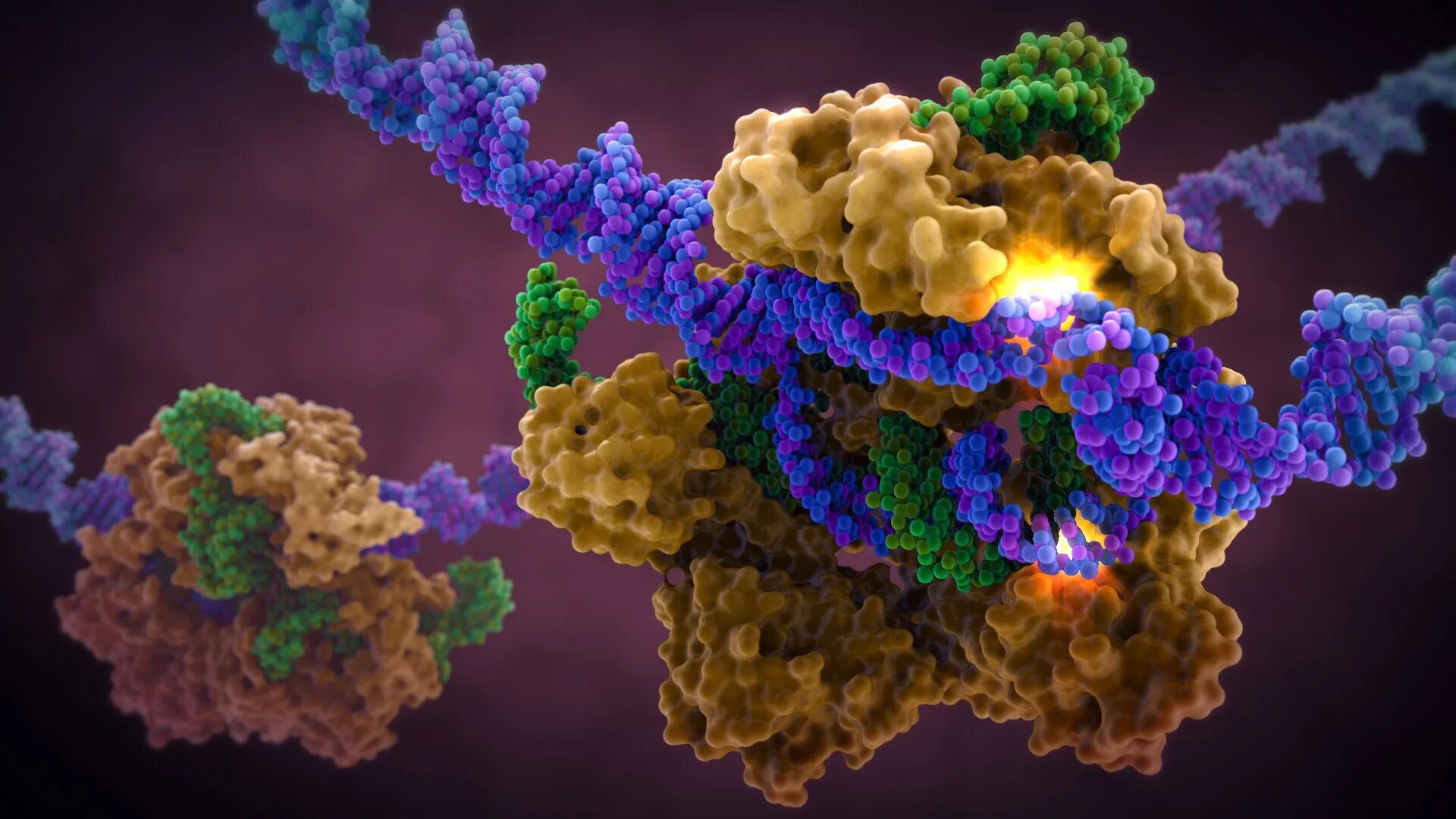 Ферменты расщепляющие днк. Генетика CRISPR. CRISPR cas9 технология. Генная инженерия CRISPR. CAS 9 белок.