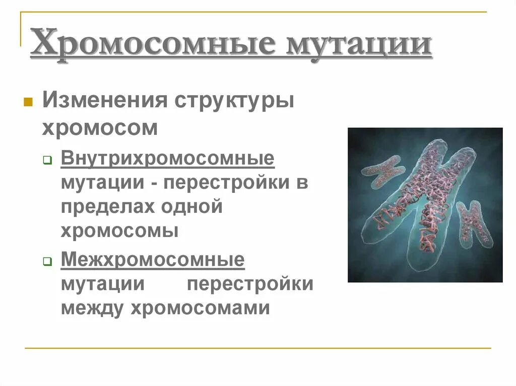 Хромосомные мутации. Внутрихромосомные и межхромосомные мутации. Структура хромосомы мутация. Хромосомные мутации межхромосомные. Изменение количества хромосом мутация