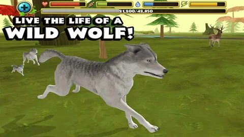 Wildlife мод много денег