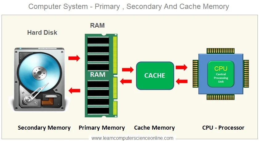 Cpu memory. Cpu ram hdd. primary and secondary memory. rom cpu ram жесткий диск процессор. memory cpu.