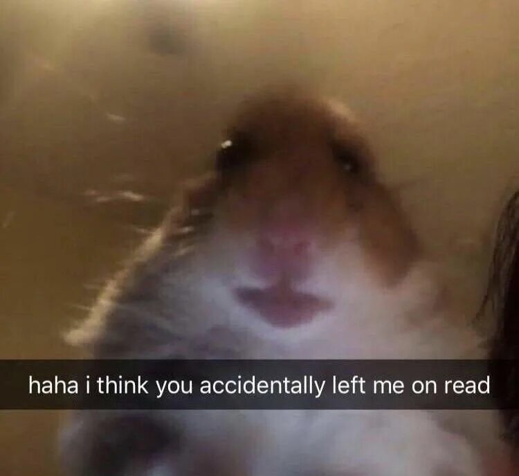 How could you have left me. How could you have left me