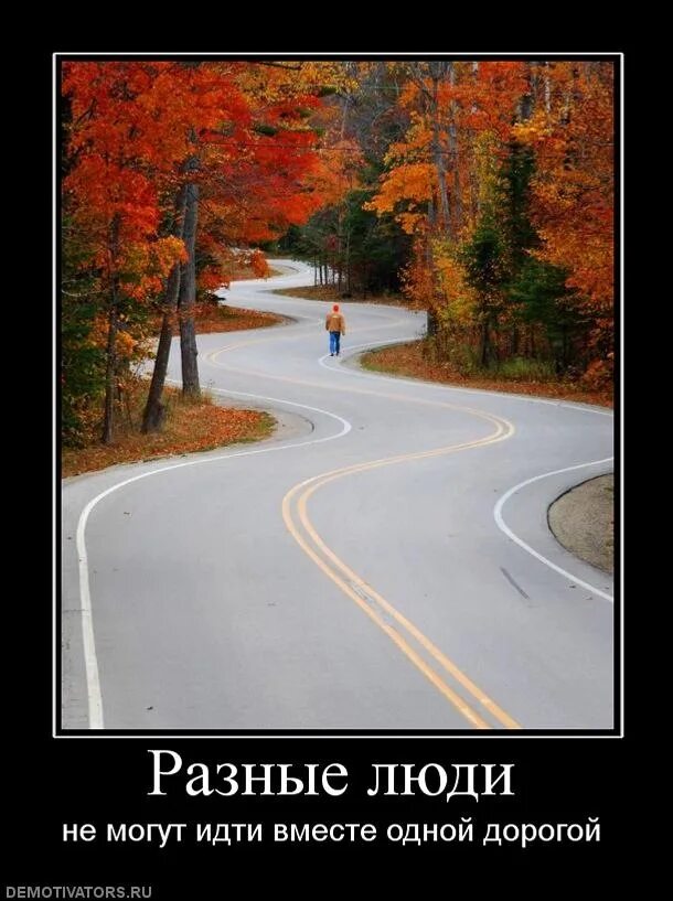 Широкая и узкая тропинка для детей. Потому что у нас дороги разные. Потому что у нас дороги разные. Потому что у нас дороги разные. Потому что у нас дороги разные.