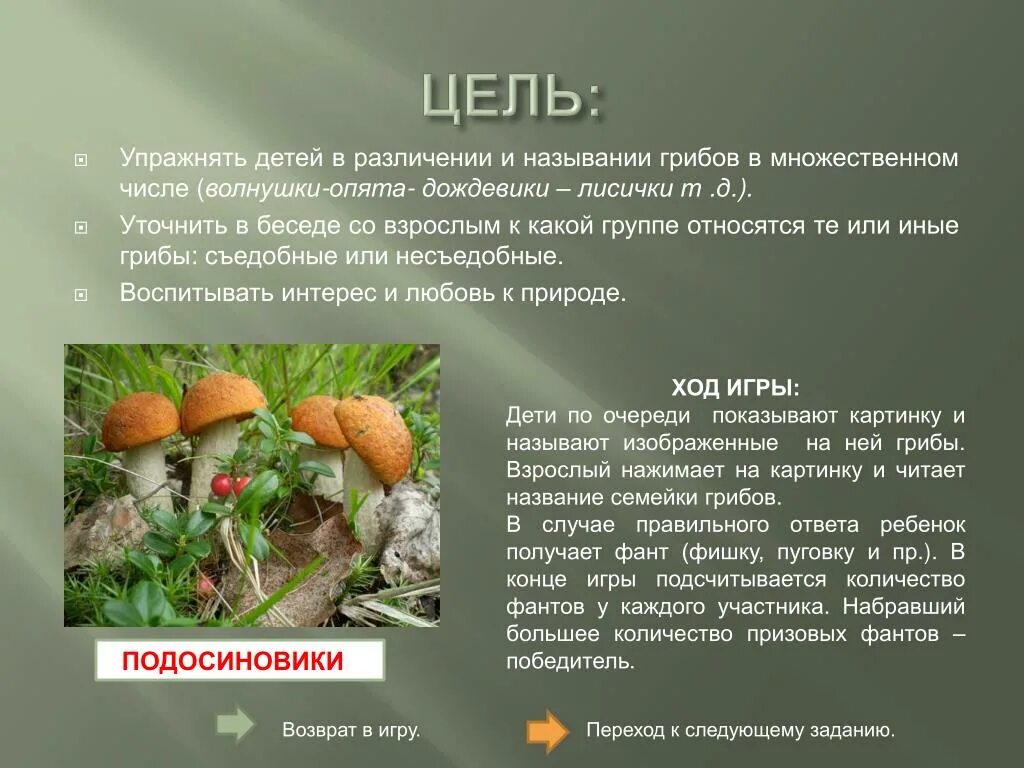 Гриб группа слов. К какой группе относятся опята. К какому семейству относятся грибы. К чему относятся грибы. К какому классу относятся грибы.