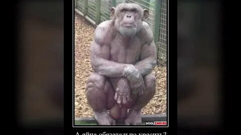 Шел 3 месяц