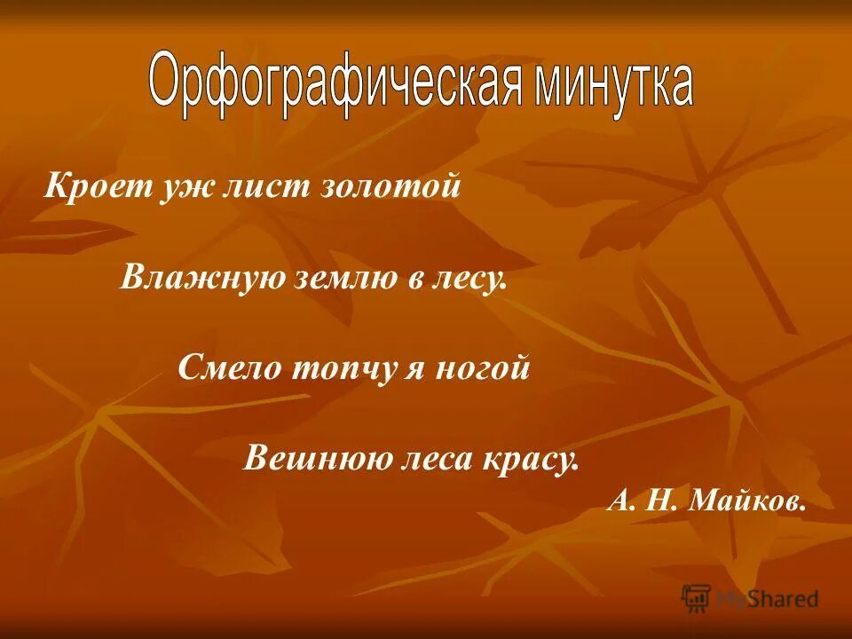 Кроет уж лист золотой влажную землю в лесу размер стиха. Кроет уж лист золотой стих. Кроет уж лист золотой размер стиха. Стихи про осенние листья. Стих осень кроет уж лист золотой.