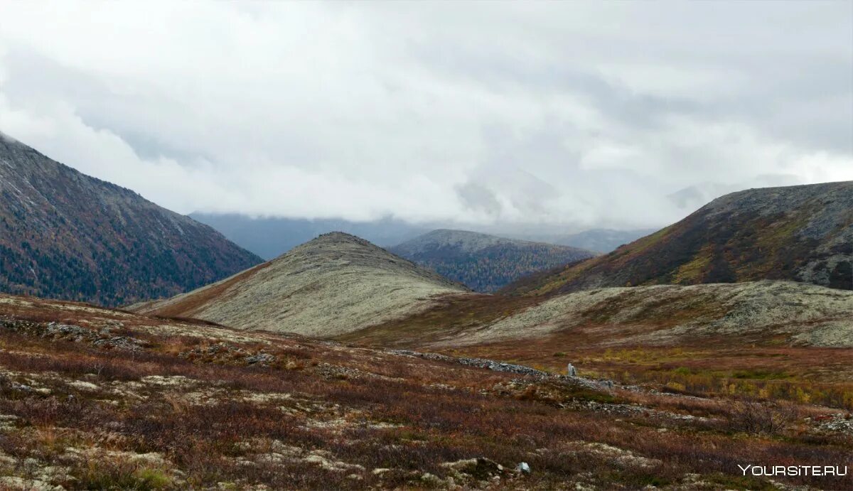 река кожим приполярный урал на карте. месторождение додо приполярный урал. урал экономический район полезные ископаемые карта. на территории какого месторождения приполярного урала 1934. на территории какого месторождения приполярного урала 1934.