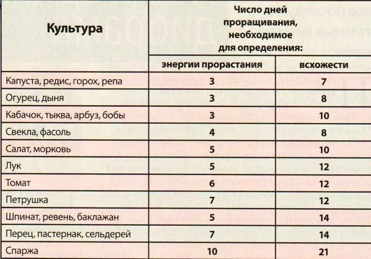 Сроки прорастания огурцов. Сроки всхожести семян огурцов на рассаду. Сроки всхода семян томатов на рассаду. Срок прорастания семян огурцов. На какой день взойдут семена огурцов