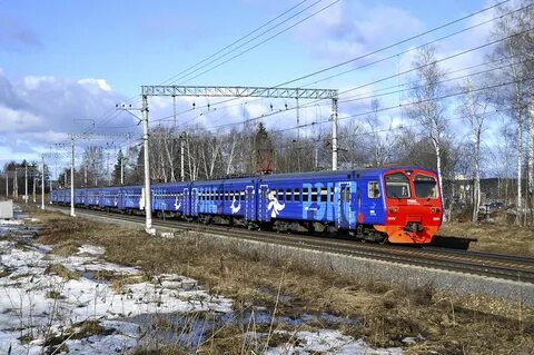 Эд4м 0091