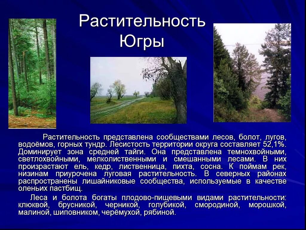 Сообщение о природных сообществах родного края. Растительность Югры. Растительный мир ХМАО. Растительность ХМАО. Разнообразие природы Югры.