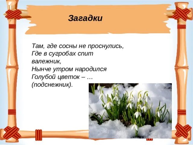 Там где сосны не проснулись где. Подснежник там где сосны не проснулись. Валежник стихотворение.