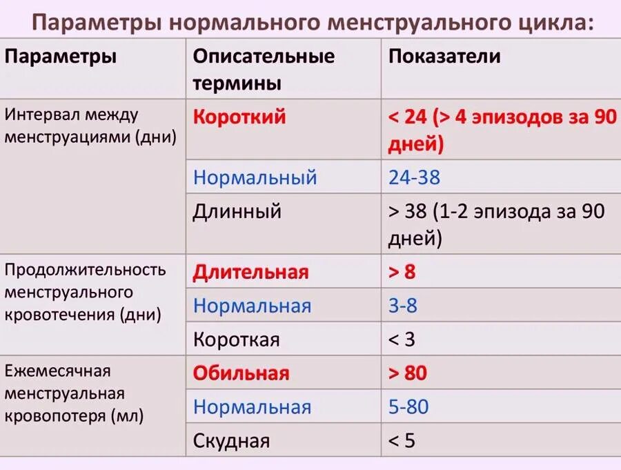 Месячные каждые сколько дней. Параметры нормального менструального цикла. Причины необильных месячных. Нормальные месячные в первый день. Скудная менструационного цикла.