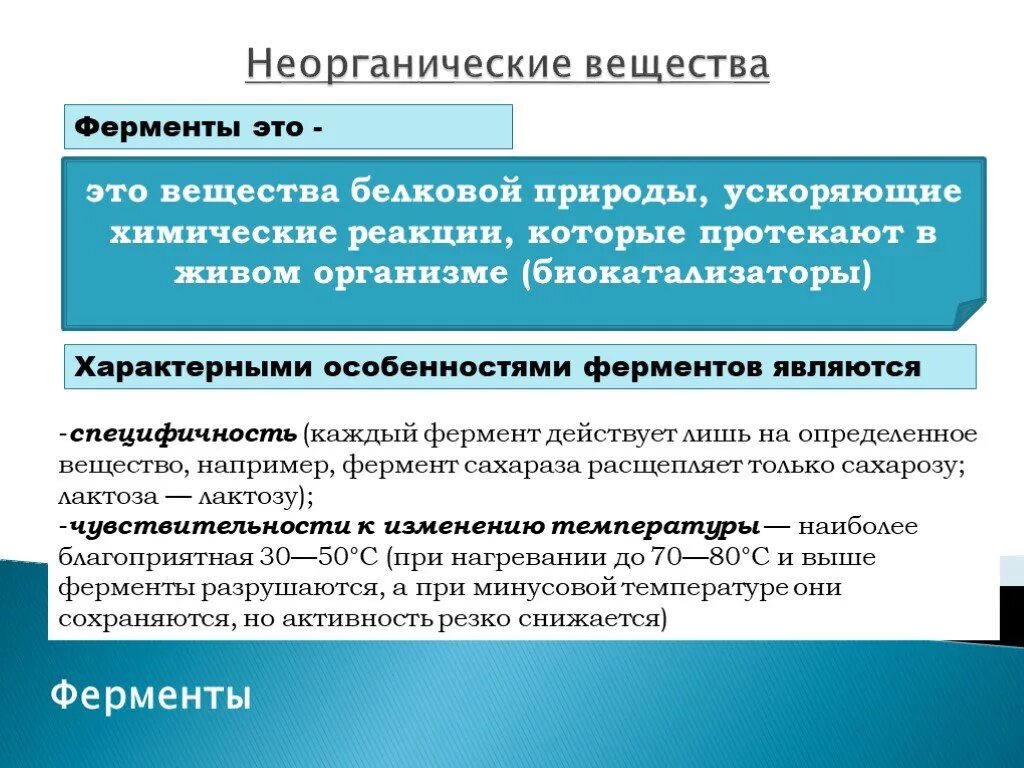 Ферментами называются вещества которые