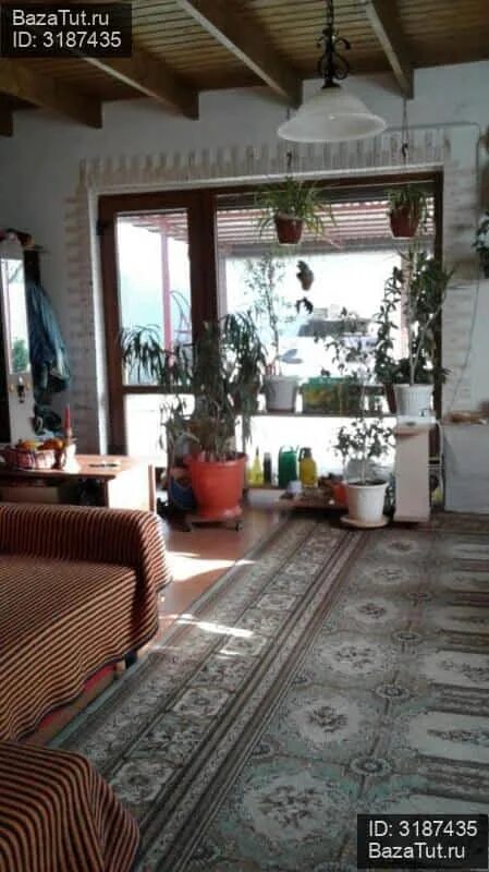 Снт голубые ели мержаново. Дача в мержаново. Дача в мержаново. Голубые ели мержаново. Ростов на дону садоводство.