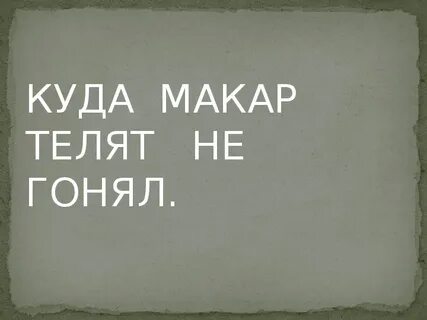 Куда телят не гонял