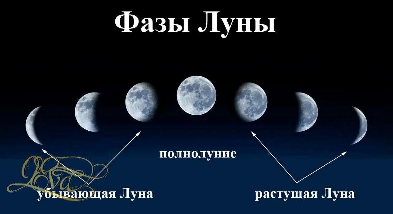 Влияние лунных фаз на клев рыбы. Фазы луны зимой. Влияние фаз луны на клев рыбы. Клев на растущую луну. Влияние клева рыбы от фазы луны.