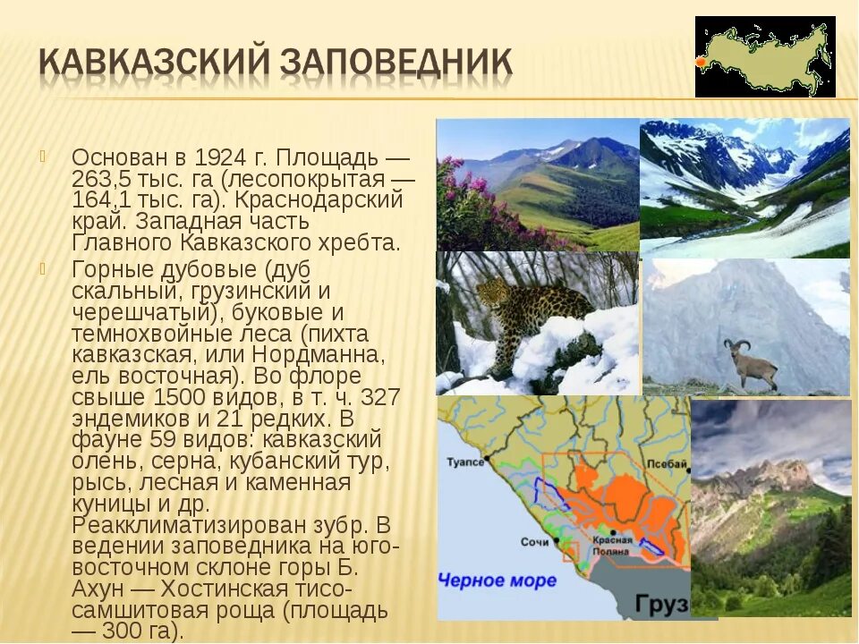 Проект заповедник. Заповедники России презентация. Сведения о заповедниках России. Сообщение о заповеднике.