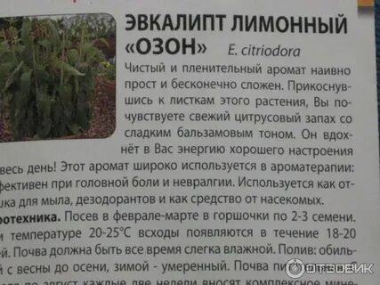 Озон для огорода