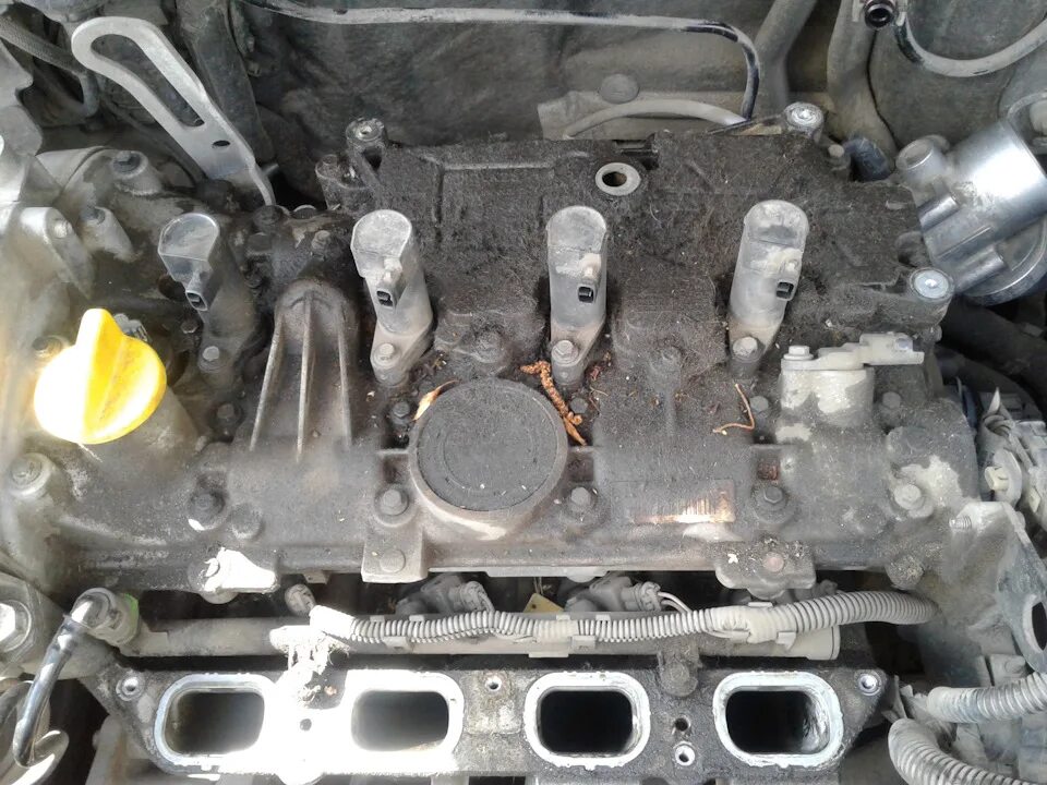 Меган 2 1. Двигатель рено меган 2 1. 0 запотевание двигателя. Рено меган 2 седан масло двигателя. 6.